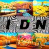 IDN - Vision