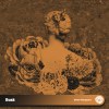 Bask | Damn Stargazers | Brunch Collect | Lo-fi dreamscape | Electronic