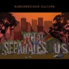 Subconscious Culture-What Separates Us