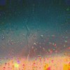 French Lobster-Rainy Night