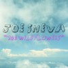 Joe Sneva-100 Wildflowers