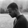 kav.-Animal Brain