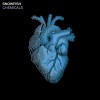 Snowfish-Chemicals