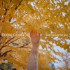 Eddie Cohn-Stop Waving the Gun