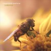 Bloomfield Machine-Suiteness