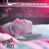 Storm Boy-The Steam in the Room