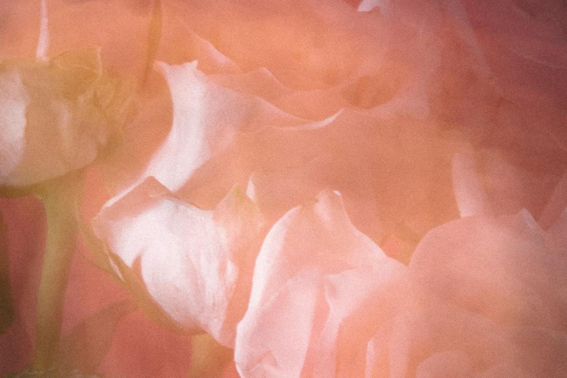 Rushkeys | Bloom | Electronic | Organic House | Enchanting