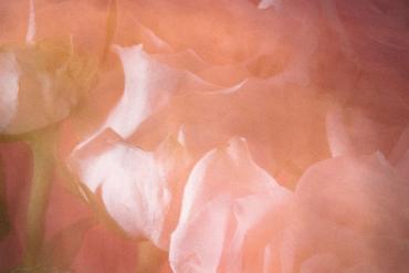 Rushkeys | Bloom | Electronic | Organic House | Enchanting