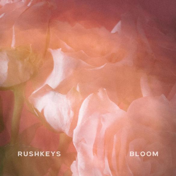 Rushkeys | Bloom | Electronic | Organic House | Enchanting