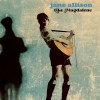 Frayed Jane Allison