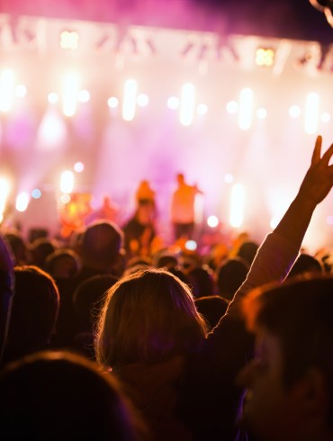 People in music concerts