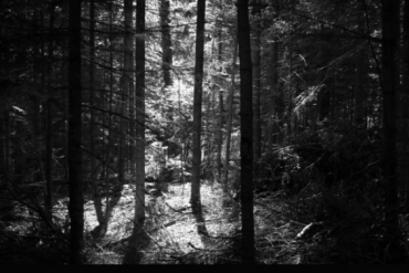 Richard Yot Released a Rock Song ‘The Voice in the Silence’ 