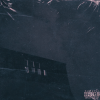 SWANNY.95 - TOTEM